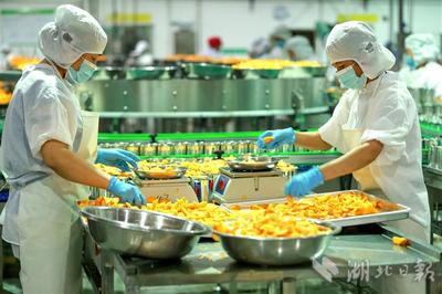 “農(nóng)企對接”穩(wěn)外貿(mào)促增收 食品銷售新引擎