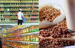 轉(zhuǎn)基因食品的標識迷局 廠家為何遮掩，消費者如何識別？