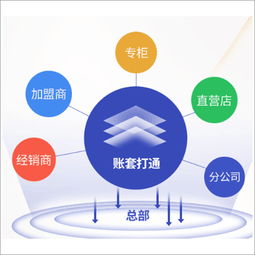 惠州惠城區麥地小吃店管理軟件價格與食品經銷代理選擇指南